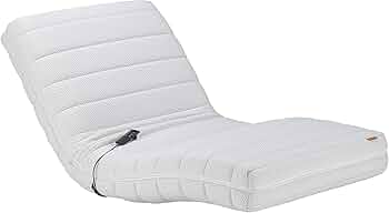 美品 フランスベッド 電動 リクライニング マットレス ルーパームーブ シングル フランスベッド 電動リクライニングマットレス ルーパームーブ